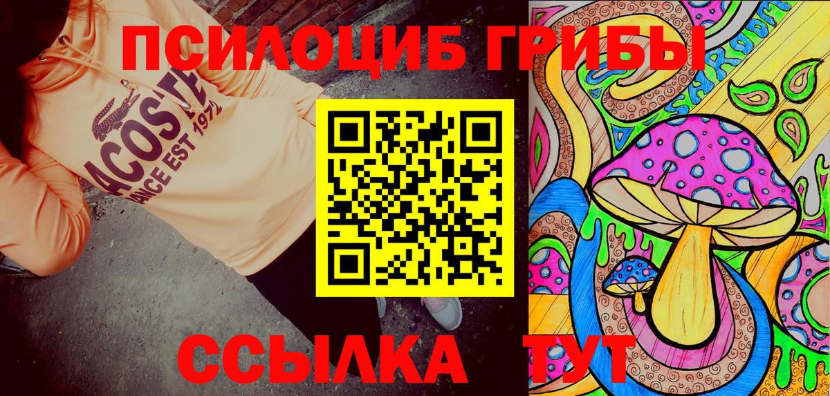 Пугачёв  Галлюциногенные грибы Psilocybine cubensis  Галлюциногенные грибы Magic Shrooms  Вход с VPN 